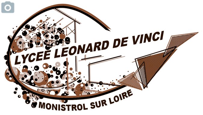 logo LDV marron.jpg