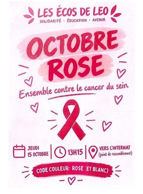 OCTOBRE ROSE.jpg